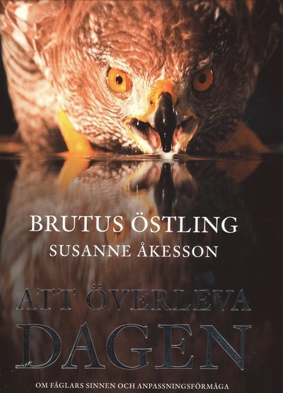 Cover for Östling Brutus (foto) · Att överleva dagen / text: Susanne Åkesson (Bound Book) (2009)