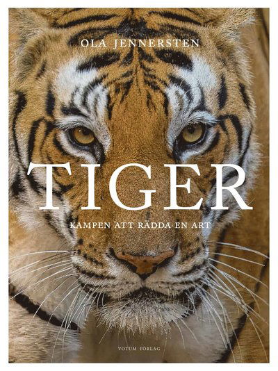 Tiger - Kampen att rädda en art - Ola Jennersten - Bücher - Votum Förlag - 9789189838611 - 5. November 2024