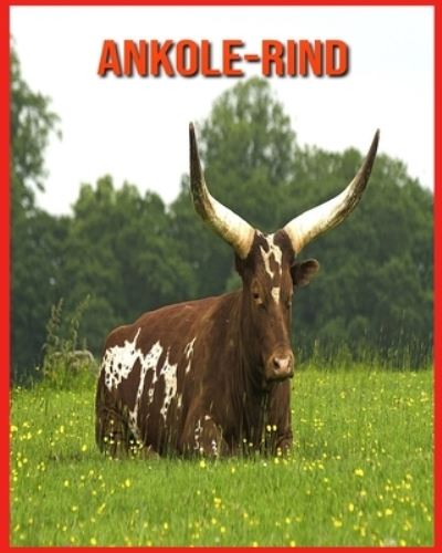 Ankole-Rind - Alicia Moore - Books - Independently Published - 9798710025611 - February 16, 2021