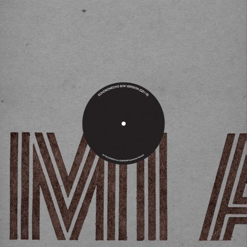 Cover for Mi Ami · Echononecho (LP) (2009)