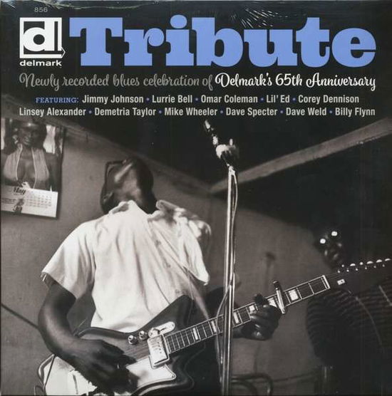 Compilation · Tribute: Newly Recorded Blues Celebration Of Delm (LP) [Limited edition] (2018)