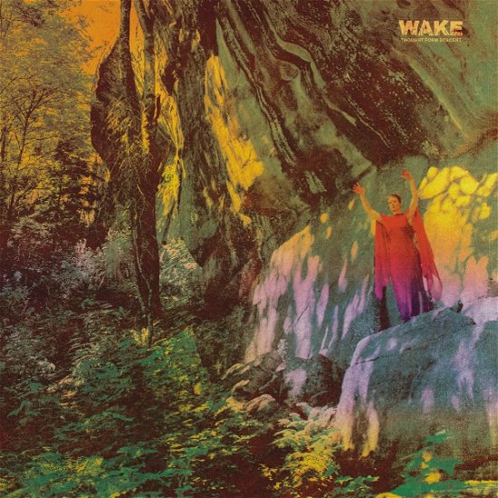 Cover for Wake · Thought from Descent (LP) (2022)