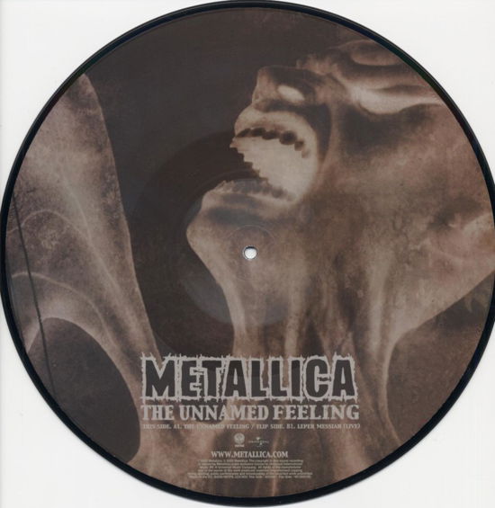 Cover for Metallica · Unnamed Feeling (12&quot;) [Picture Disc edition] (2004)