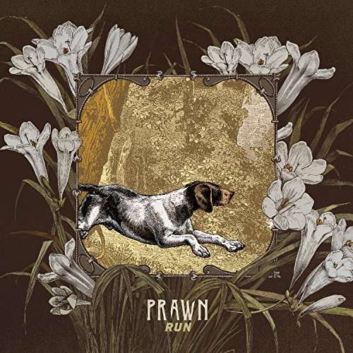 Run - Prawn - Muzyka - TOPSHELF RECORDS - 0634457787612 - 22 września 2017