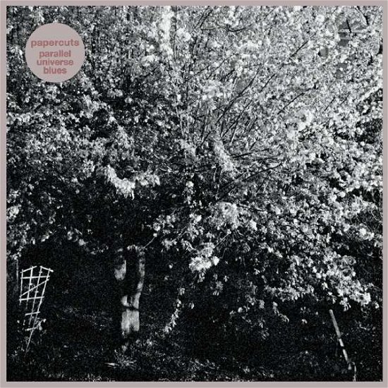 Parallel Universe Blues (WHITE VINYL) - Papercuts - Music - Slumberland Records - 0749846023612 - October 18, 2018