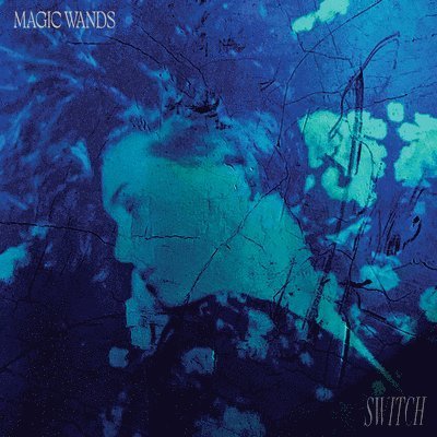 Cover for Magic Wands · Switch (LP) (2023)