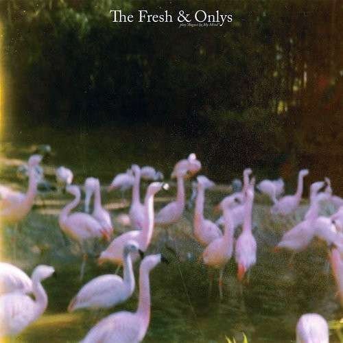 Cover for Fresh &amp; Onlys · August In My Mind (LP) [EP edition] (2012)