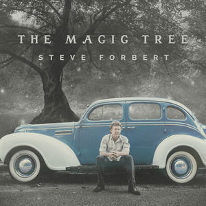 Cover for Steve Forbert · Magic Tree (LP) [Coloured edition] (2019)