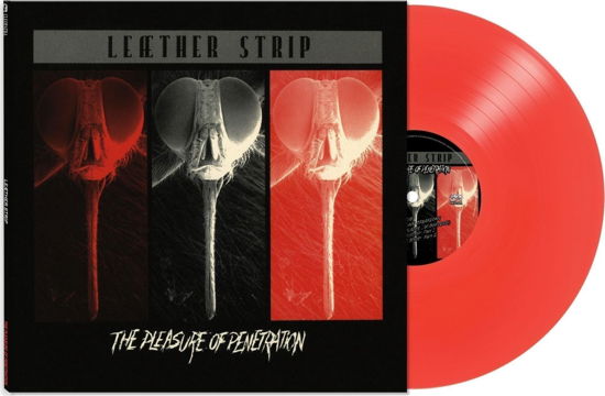 Cover for Leaether Strip · The Pleasure Of Penetration (Red) (LP) (2023)