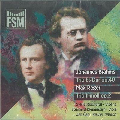 Cover for Johannes Brahms  · Trio Per Piano Violino E Corno Op 40 (1865) In Mi (CD)