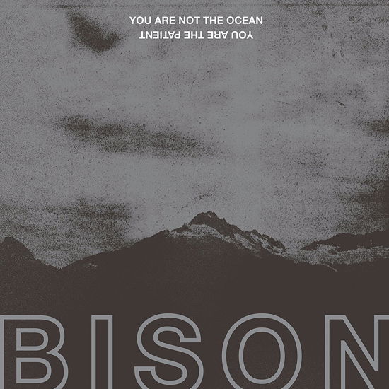 Cover for Bison · You Are Not The Ocean You Are The Patient (Red) by Bison (VINYL) [Coloured edition] (2018)