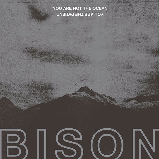 Cover for Bison · You Are Not The Ocean You Are The Patient (Red) by Bison (LP) [Coloured edition] (2018)