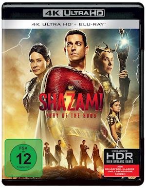 Shazam! Fury of the Gods - Zachary Levi,asher Angel,rachel Zegers - Filmes -  - 5051890333612 - 15 de junho de 2023