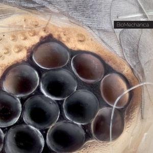 Cover for Biomechanica · Bm-01 (LP) (2012)