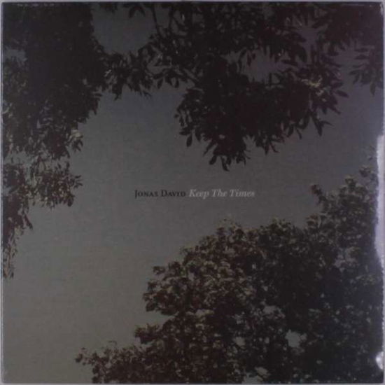 Cover for Jonas David · Keep The Times (LP) (2014)