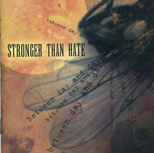 Cover for Stronger Than Hate · Between Day And Darkness (CD) (2007)