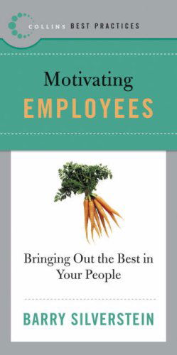 Cover for Barry Silverstein · Best Practices: Motivating Employees: Bringing out the Best in Your People (Paperback Book) (2007)