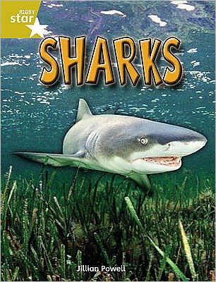 Cover for Jillian Powell · Rigby Star Independent Year 2 Gold Non Fiction Sharks Single - STAR INDEPENDENT (Taschenbuch) (2004)