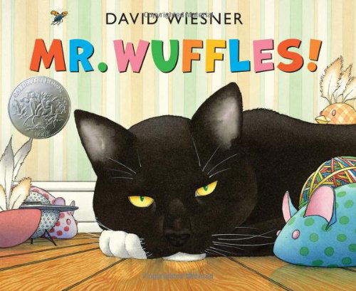 Cover for David Wiesner · Mr. Wuffles!: A Caldecott Honor Award Winner (Gebundenes Buch) [First edition] (2013)