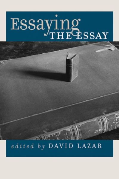 Cover for David Lazar · Essaying the Essay (Paperback Book) (2014)