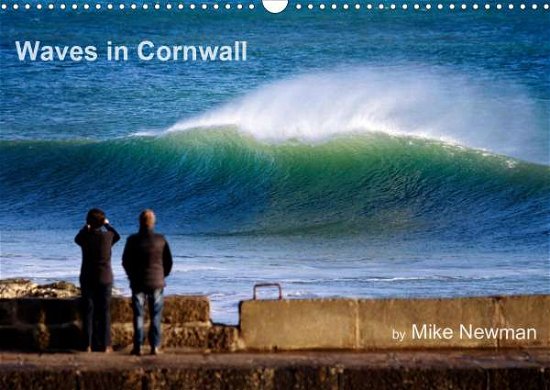 Cover for Newman · Waves in Cornwall (Wall Calendar (Book)