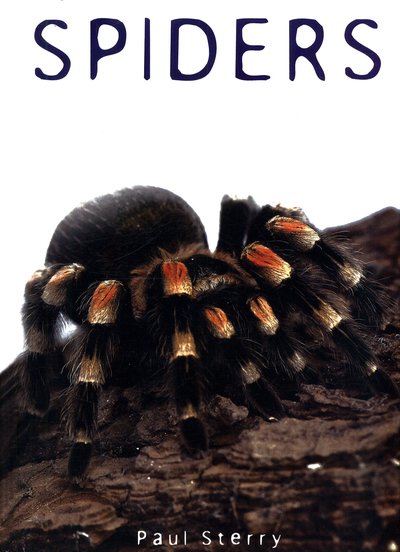 Cover for Paul Sterry · Spiders - Exploring Nature (Innbunden bok) (2018)