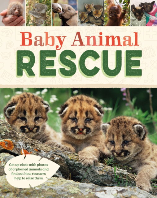 Cover for Susie Williams · Baby Animal Rescue (Hardcover Book) (2026)