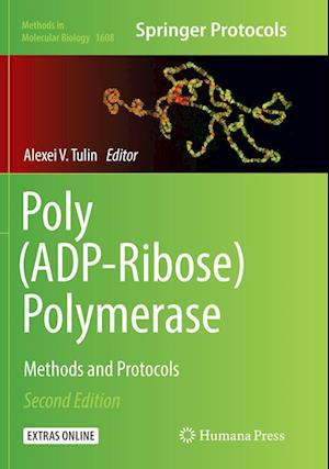 Cover for Poly (ADP-Ribose) Polymerase: Methods and Protocols - Methods in Molecular Biology (Paperback Book) [Softcover reprint of the original 2nd ed. 2017 edition] (2018)
