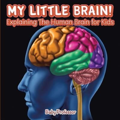 Cover for Baby Professor · My Little Brain! - Explaining The Human Brain for Kids (Paperback Book) (2017)
