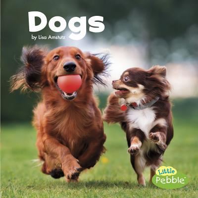 Dogs - Lisa J. Amstutz - Books - Capstone - 9781543501612 - 2018