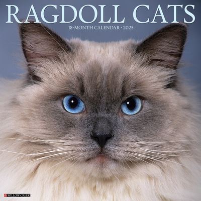 Willow Creek Press · Ragdoll Cats 2025 12 X 12 Wall Calendar (Calendar) (2024)