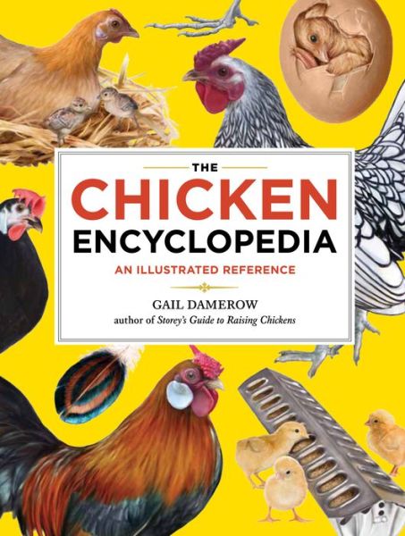 The Chicken Encyclopedia: An Illustrated Reference - Gail Damerow - Books - Workman Publishing - 9781603425612 - January 31, 2012