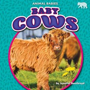 Cover for Jennifer Boothroyd · Baby Cows (Book) (2022)