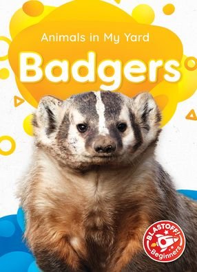Cover for Amy McDonald · Badgers (Hardcover Book) (2022)