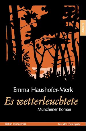 Cover for Emma Haushofer-Merk · Es wetterleuchtete (Paperback Book) (2016)