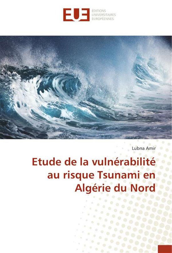 Cover for Amir · Etude de la vulnérabilité au risqu (Book)