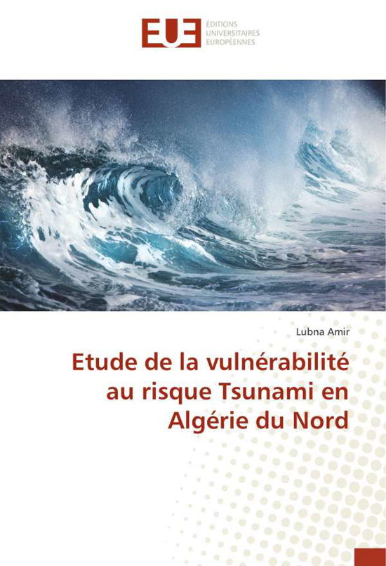 Etude de la vulnérabilité au risqu - Amir - Books -  - 9786138472612 - 