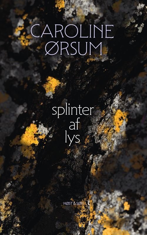 Cover for Caroline Ørsum · Splinter af Lys (Poketbok) [1:a utgåva] (2023)
