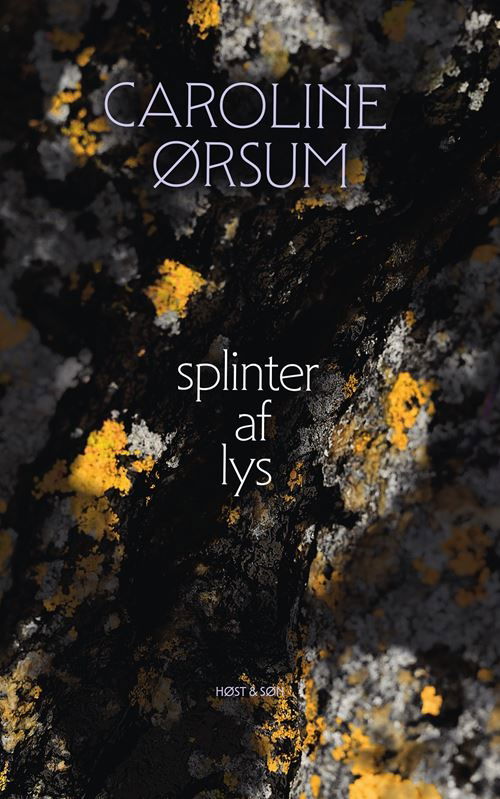 Cover for Caroline Ørsum · Splinter af Lys (Sewn Spine Book) [1st edition] (2023)