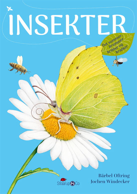 Cover for Bärbel Oftring · Insekter (Hardcover bog) [1. udgave] (2021)