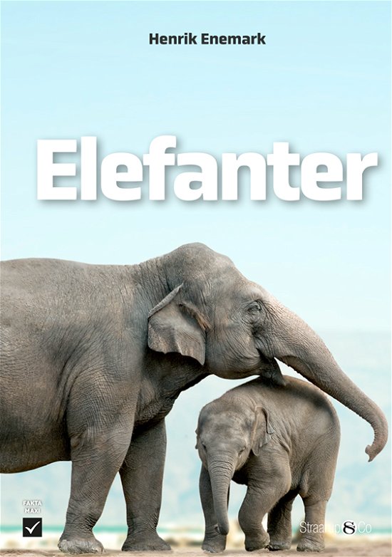 Maxi: Elefanter - Henrik Enemark - Boeken - Straarup & Co - 9788775925612 - 3 mei 2023