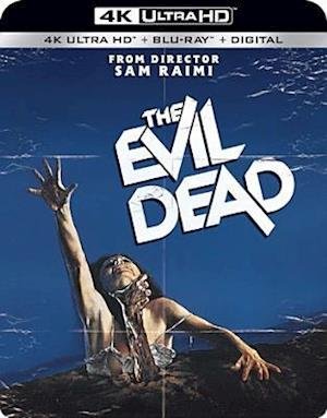 Cover for Evil Dead (Blu-ray) (2018)