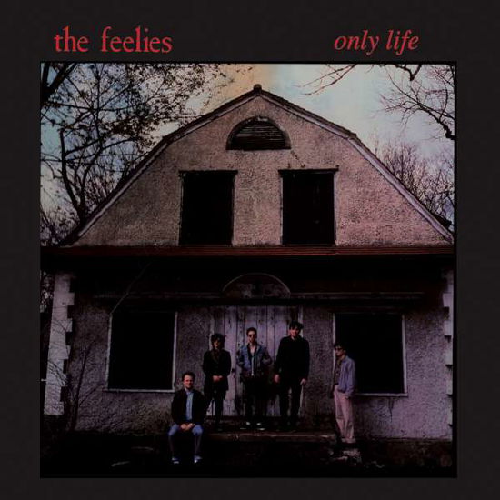 Only Life - The Feelies - Música - ROCK - 0032862023613 - 11 de marzo de 2016