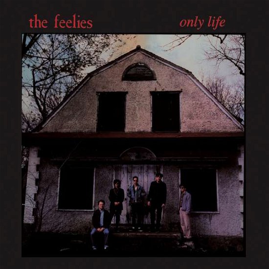Cover for The Feelies · Only Life (LP) [Reissue edition] (2016)