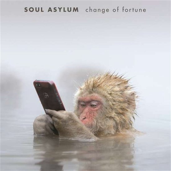 Cover for Soul Asylum · Change Of Fortune (LP) (2016)