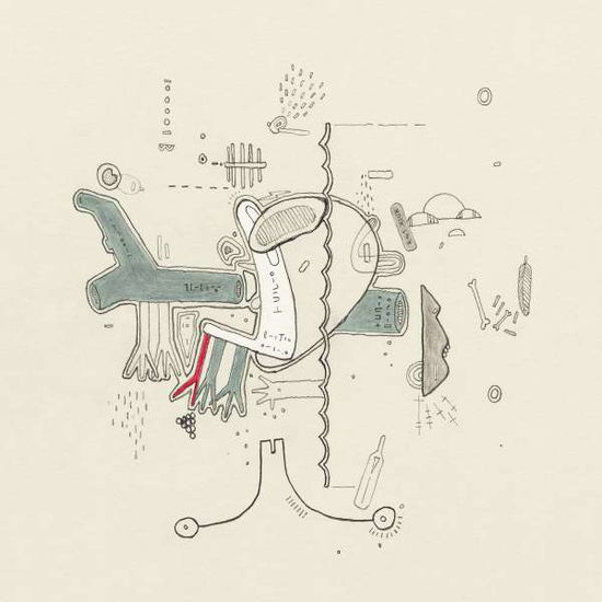 Tiny Changes: A Celebration of - Frightened Rabbit - Music - East West Records UK Ltd - 0190295525613 - July 12, 2019