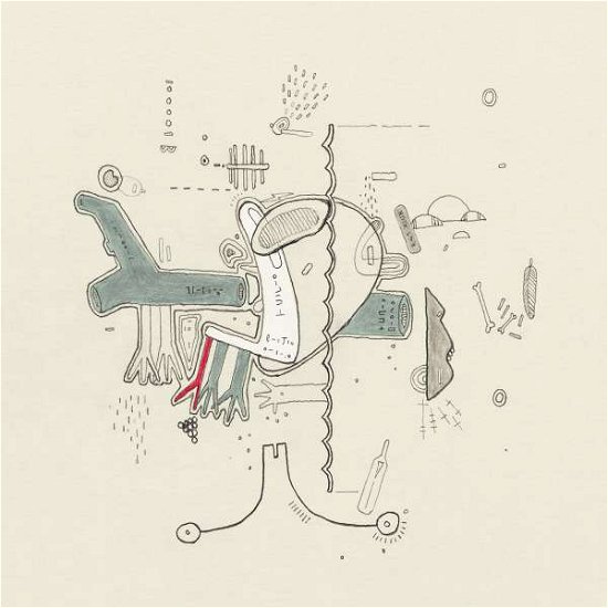 Cover for Frightened Rabbit · Tiny Changes (LP) [Standard edition] (2019)