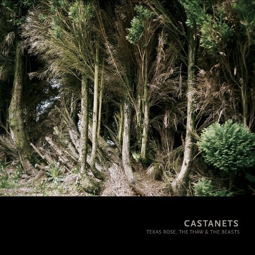 Cover for Castanets · Texas Rose The Thaw &amp; The Beasts (LP) [Standard edition] (2009)