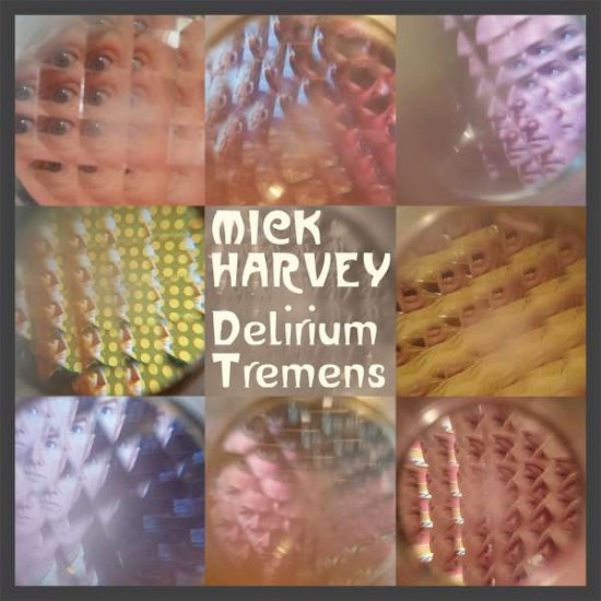 Delirium Tremens - Mick Harvey - Musique - MUTE - 0724596964613 - 10 juin 2016