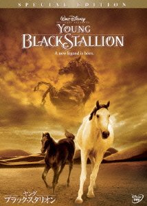 Cover for Simon Wincer · Young Black Stallion (MDVD) [Japan Import edition] (2005)